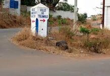 Examens nationaux 2021 : des résultats catastrophiques à Télimélé