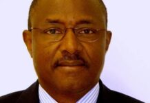 Transition en Guinée: les défis qui attentent le PM Mohamed Béavogui…