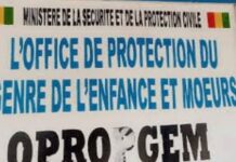 Atteinte aux mœurs : un groupe d’adolescents de 14 à 18 ans interpellé par l’OPROGEM