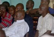 Guinée : AOB et Jean Guilavogui graciés