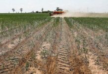 Et si l’enjeu climatique devenait maintenant la priorité de l’Union africaine