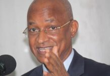 Cellou Dalein remonté : «…il faut qu’ils comprennent que ça ne marchera pas »