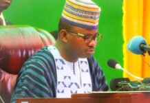 Dr Dansa, président du CNT: «Nous devons écrire une constitution qui ne sera pas facilement modifiable par les pouvoirs constitués»