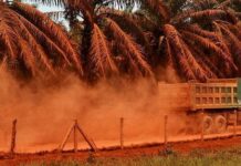 Matières premières d’Afrique : cet enjeu si crucial de la transformation locale