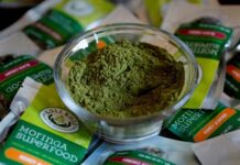 Les 5 principaux avantages du moringa pour la santé