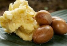Nutrition : consommer du beurre de karité est-il bon pour l’organisme ?