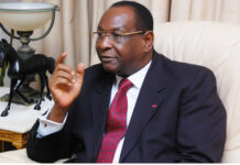 Nouveau découpage administratif: ce qu’en pense Lansana Kouyaté du PEDN