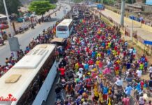 Conakry: un accueil triomphal réservé au Syli national