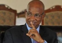 Retour à l’ordre constitutionnel: depuis les Pays-Bas, Cellou Dalein Diallo envoie un message au CNRD