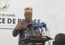 Disparition de Foniké Menguè et Cie: ce qu’en pense le porte-parole du gouvernement guinéen.