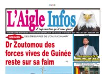 L’AIGLE INFOS N° 354 DU JEUDI 14 NOVEMBRE 2024