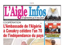 L’AIGLE INFOS N° 355 DU JEUDI 21 NOVEMBRE 2024