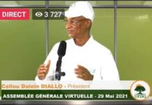 AG UFDG : en visioconférence, Cellou Dalein Diallo appelle à faire partir le CNRD