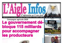 L’AIGLE INFOS N° 375 DU JEUDI 10 AVRIL 2025