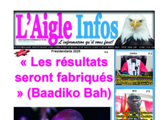 L’AIGLE INFOS N° 406 DU JEUDI 13 NOVEMBRE 2025