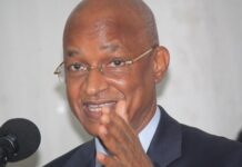 Cellou Dalein Diallo, président de l’UFDG : « L’heure est à la résistance… »