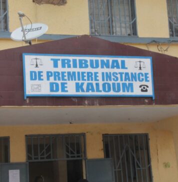 Droit de Regard : Quand la « Justice Boussole » s’invite à l’AGEPI — Le crépuscule d’un système